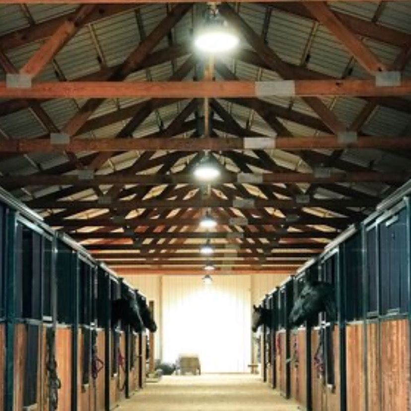 Ceiling lights in a timber-framed space